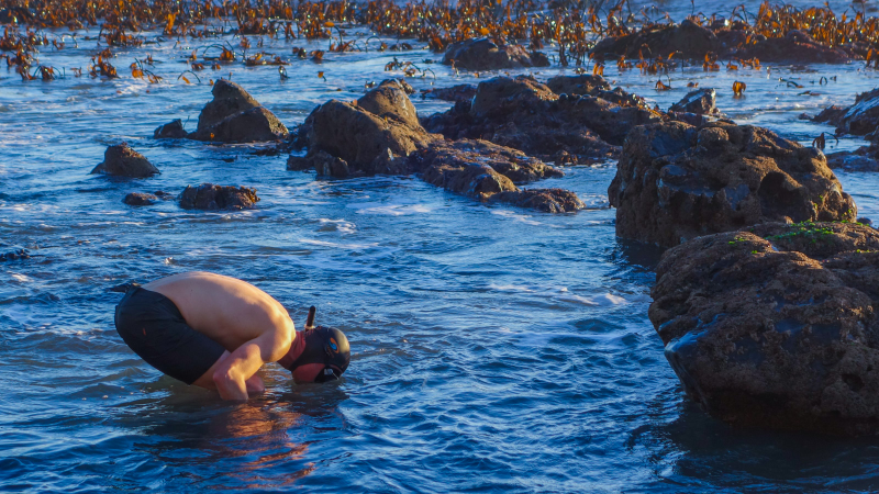 Illustration for article titled Adventure: California's Lost Coast